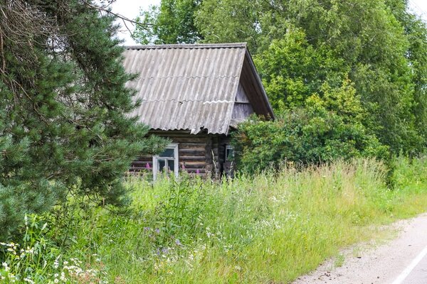 Путешествие к заброшенной деревне в Русской Глубинке. Что осталось?