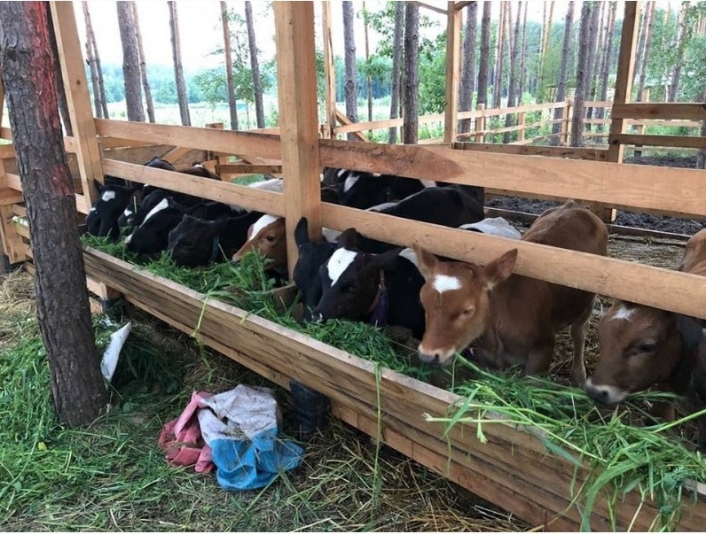 Источник фото: http://agro-ukraine.com/imgs/board/87/827987-1.jpg