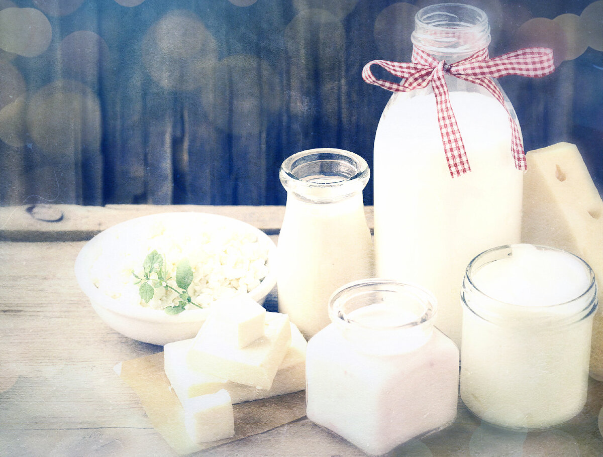 Производство кисломолочных бактерий. Молочные продукты. Молочнокислые бактерии. Молочнокислые бактерии продукты. Молоко и молочные бактерии.