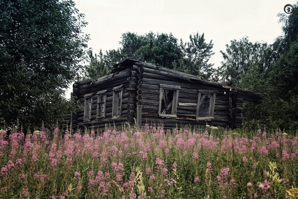 Глушь Сергиев Посад. Деревня в глуши.