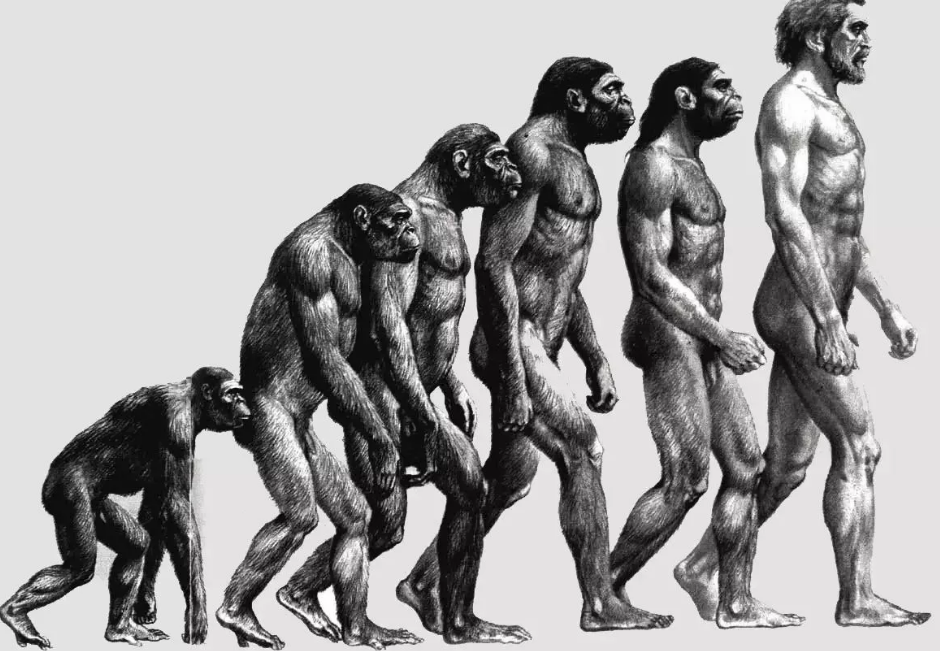 Новая эволюционная теория. Эволюция человека. Эволюция обезьяны в человека. Эволюция обязьяна в чело. Развитие человека.
