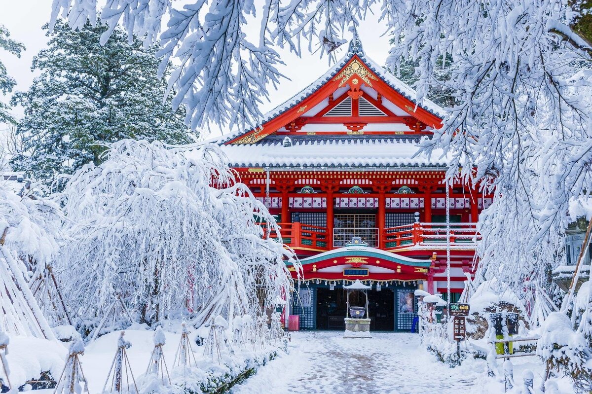 Укрытые снегами храмы и тропинки, ночная иллюминация, красочные снегопады...