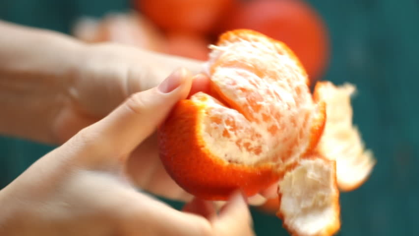 https://ak5.picdn.net/shutterstock/videos/13735595/thumb/3.jpg
