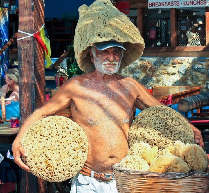 Для небольших греческих домохозяйств губки являются источником средств