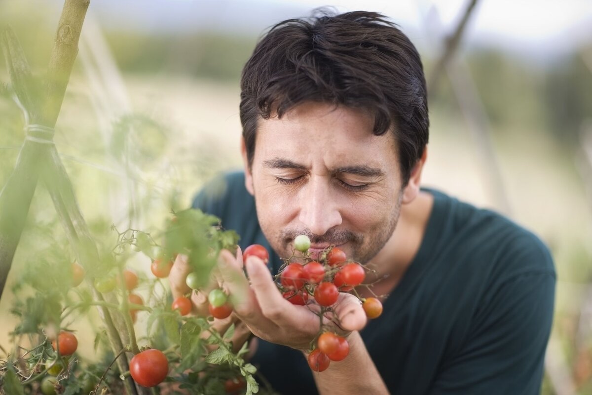 Изображение взято из сервиса Яндекс.Картинки