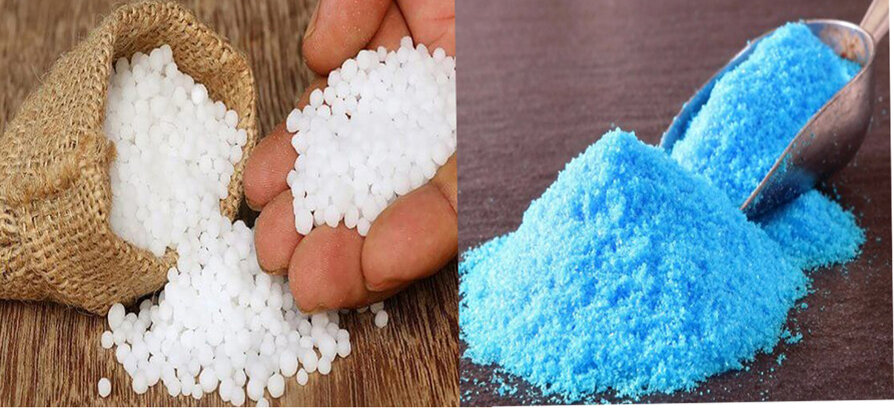 Мочевина и медный купорос защищают наши растения от болезней