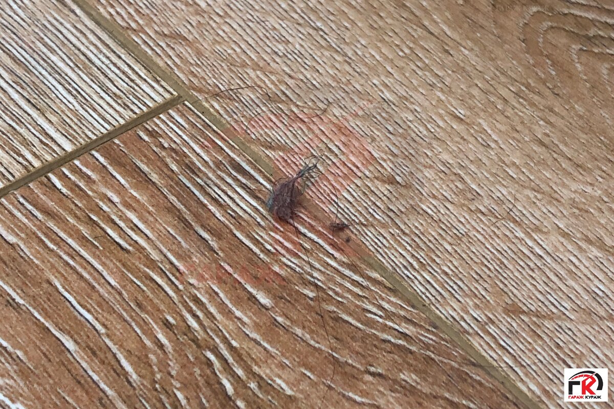 Шерсть от домашних животных.