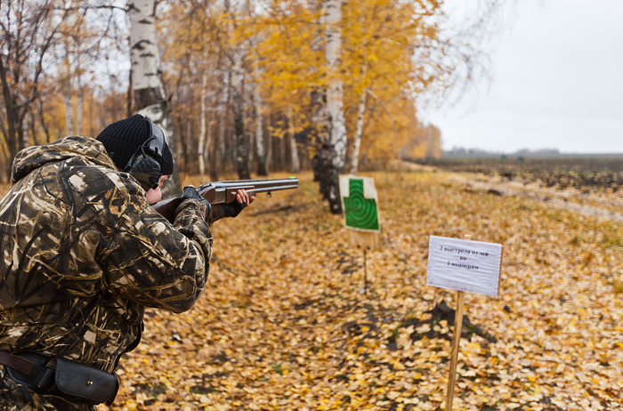 Из источников в свободном доступе