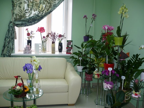 В салоне. Зона отдыха.  Фото из личного архива. 