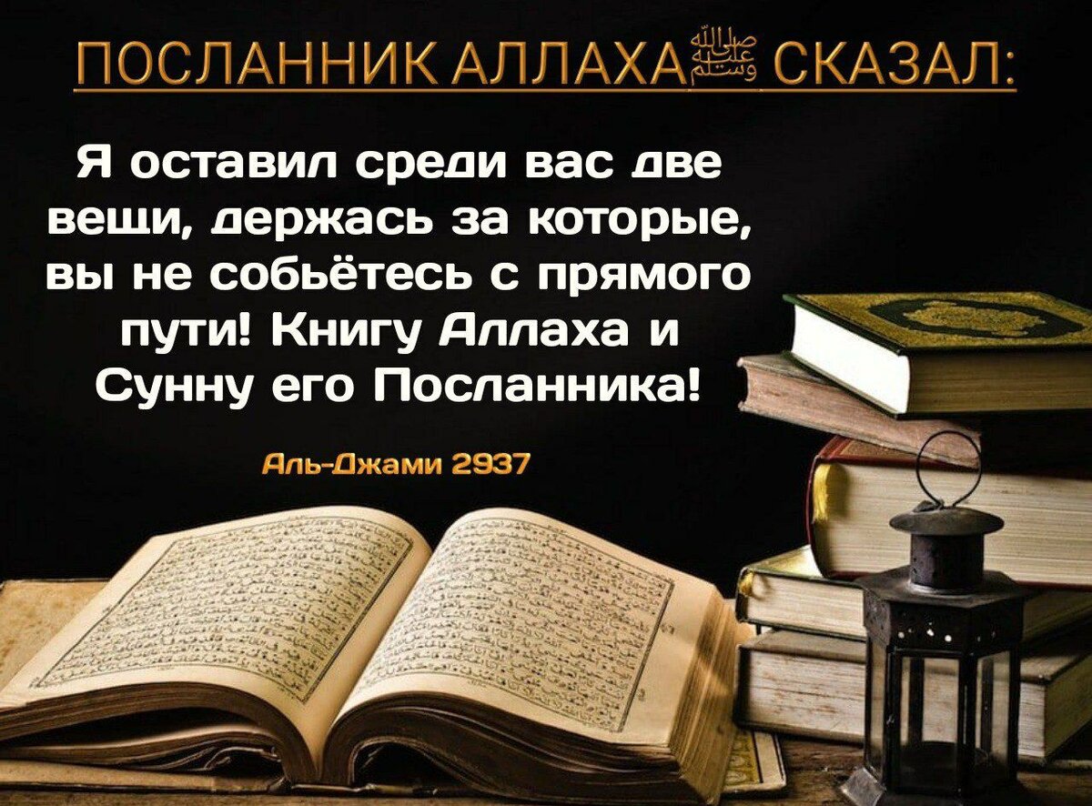 Толкование сунны. Посланник Аллаха сказал. На пути Аллаха. Первый Посланник Аллаха. Аллах сказал в Коране.