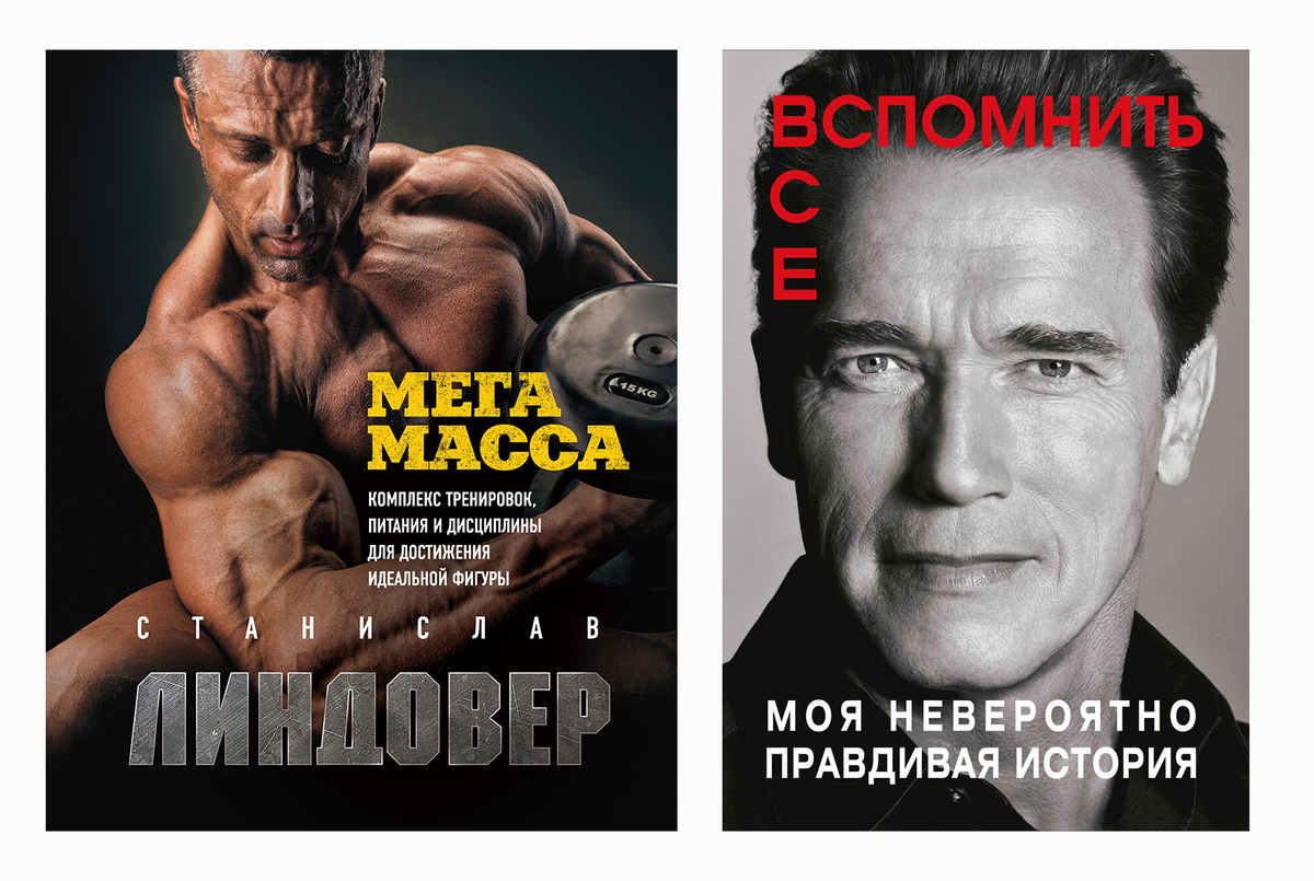 Поставила себе цель прочитать книгу Станислава Линдовера "МЕГА МАССА" и книгу Арнольда Шварценеггера "Вспомнить все: моя невероятно правдивая история"