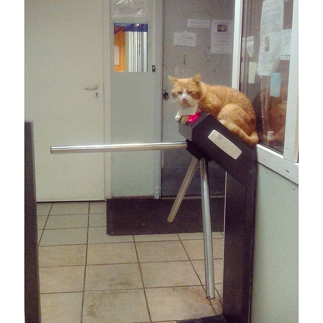 источник изображения Яндекс.ру