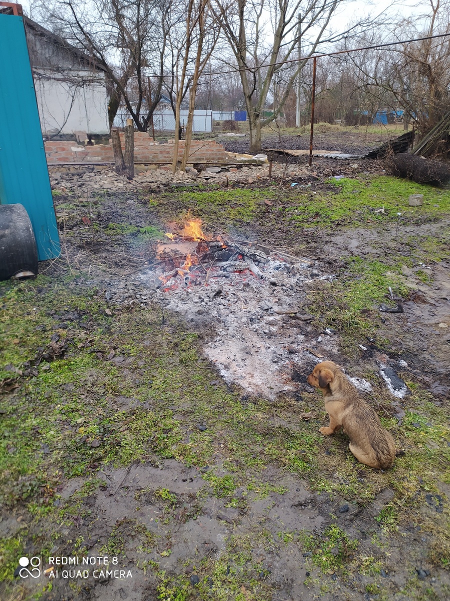 Холодновато было) щеночек грелся