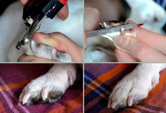 Источник Яндекс картинки