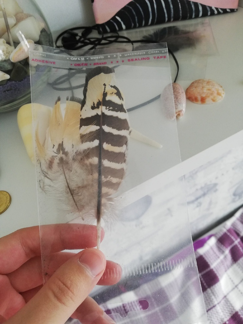 Перья Филина