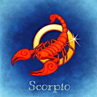 Если верить астрологическому гороскопу для женщин Скорпионов на 2020 год, то этот год будет очень насыщенным.