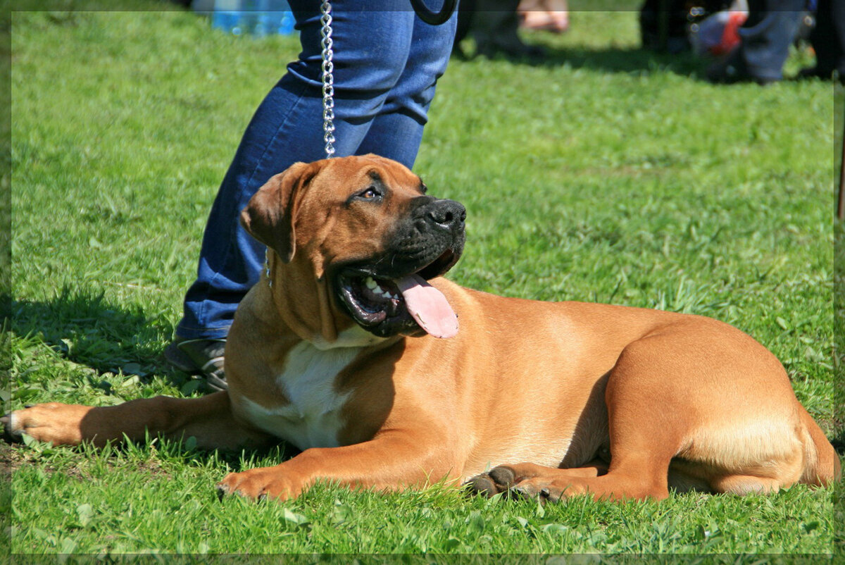 фото: nekusaka.com