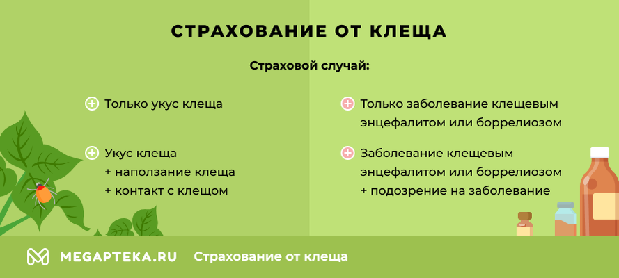 Страховка от клеща челябинск. Страховка от клещевого энцефалита. Страхование на случай укуса клеща. Клещ полис. Страхование от укуса клеща страховые риски.