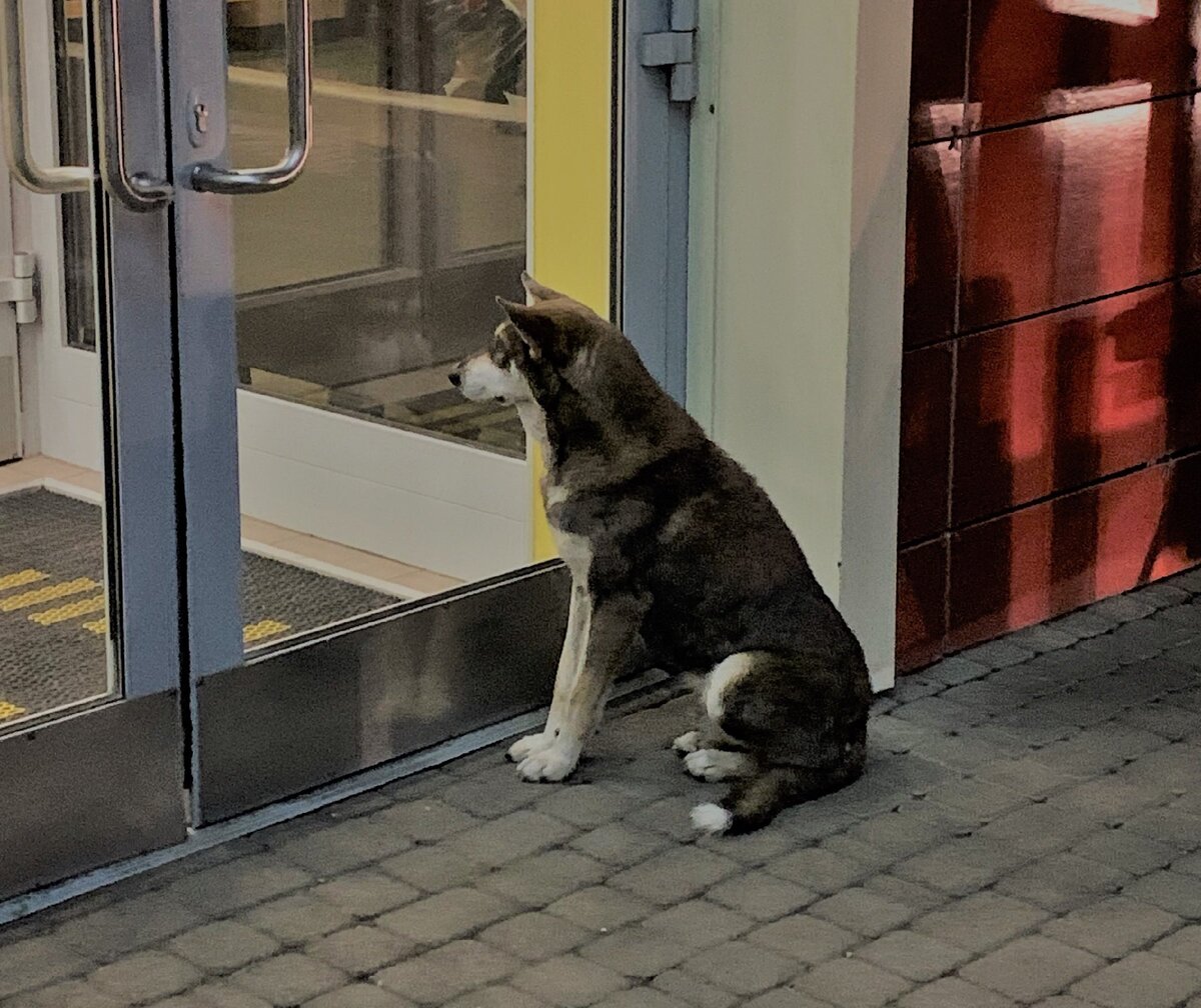 В реальной жизни всё ещё более грустно....