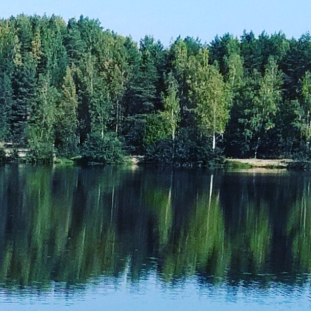 Фото из архива автора Карелиной С.Б.