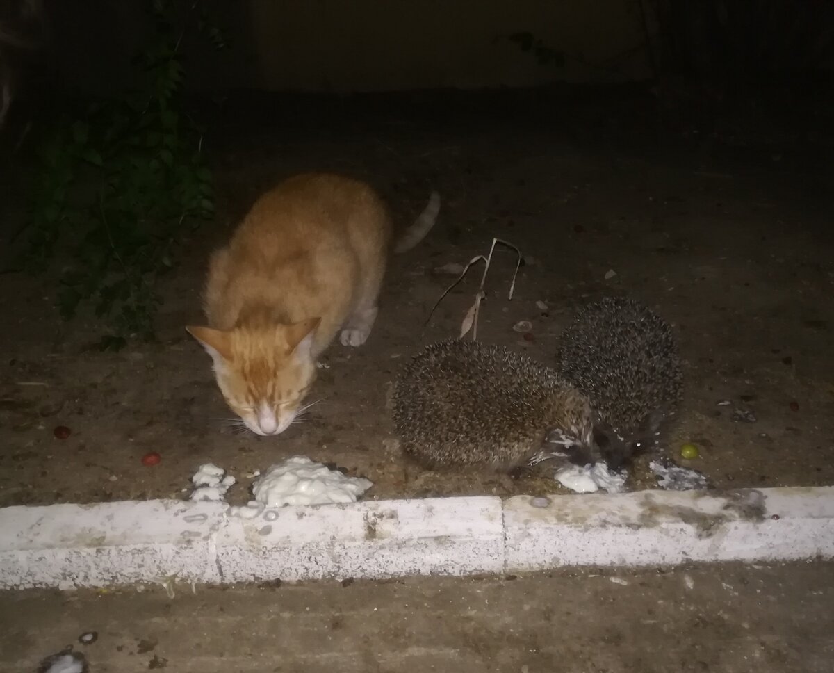 Фото автора истории. 