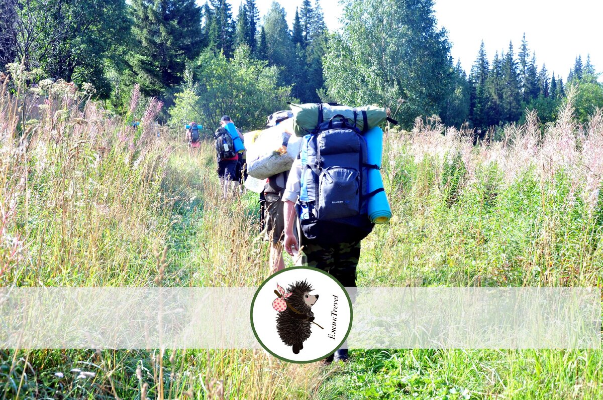 Подпишитесь на канал и поставьте "класс". Этим вы поможете развитию канала. Заранее спасибо!