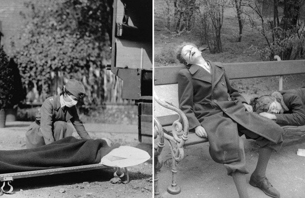 Изображение из открытого доступа в сети Интернет