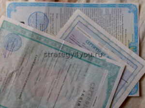 Если кратко и доступно, то акция – это ценная бумага, подтверждающая право ее владельца на определенную долю в конкретной компании.