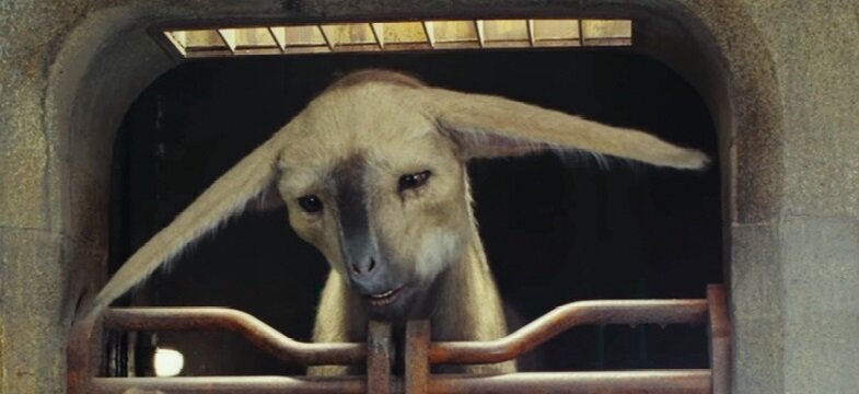 Фавьер (изображение взято из открытого источника)