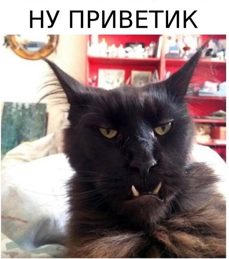 найдено в интернете