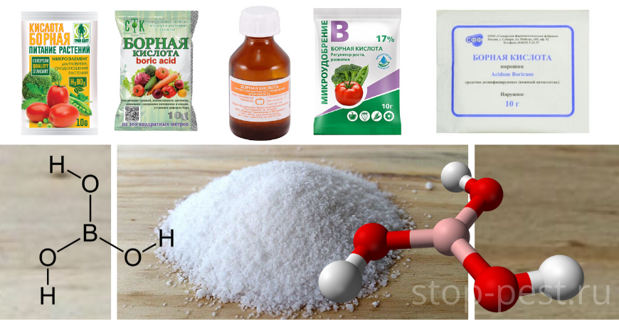 фото сайта https://stop-pest.ru