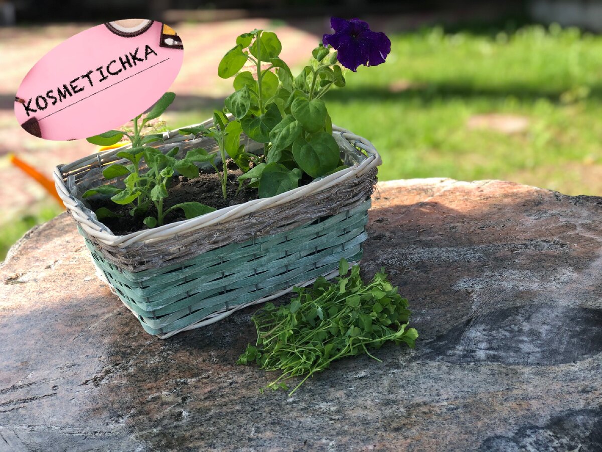 Подписывайтесь на канал, ставьте лайк. Спасибо!😊🌹