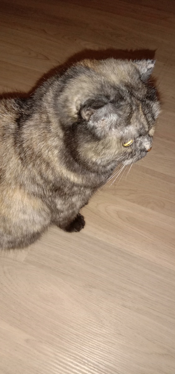 Фото автора. Мне, наверное, туда...