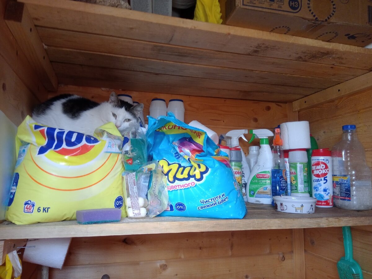 Здравствуйте! Я ваша Чуня!