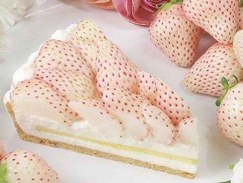 При слове «клубника» сразу представляется сладкая, ароматная и, конечно же, красная ягода с ее неповторимым клубничным ароматом. Но наука селекция не стоит на месте, и уже рядом с привычной красной появилась и белая клубника.

Необычный окрас и выраженный ананасовый вкус клубники Пайнберри завоевал внимание любителей садоводства. Гибрид был выведен селекционером Хансом де Йонге из Нидерландов, его родительской парой стали виргинская и чилийская земляника. Чтобы вырастить это интересное растение и получить богатый урожай, необходимо более подробно ознакомиться с его сильными и слабыми сторонами, а также тонкостями посадки и ухода.

Ремонтантный сорт клубники Пайнберри является уникальным в своем роде – кроме белого цвета, ягоды имеют вкус, похожий на ананас.

Уже существует большое количество сортов и самый распространённый из их —Пайнберри, или Белый ананас.

Клубника Пайнберри относится к ремонтантным разновидностям культуры, на одном месте она может произрастать 5 лет без пересадки. Сбор урожая происходит с мая по июль. Показатели продуктивности за сезон достигают 1 килограмма с 1 квадратного метра, при условии выращивания в тепличных комплексах. Высота куста 20-30 см.

Ягоды выделяются белым окрасом, мякоть бывает и кремовой, небольшими размерами (в диаметре 2,5 сантиметра). Привлекают внимание зерна клубники Пайнберри – красного цвета, который указывает на достижение потребительской зрелости плодов. Не только вкусовые характеристики на высоком уровне у данного гибрида, но и товарные.

Но уникальность ее не во вкусе или внешнем виде. Отсутствие традиционного красного цвета вызвано нарушением в гене, отвечающем за окрашивающий пигмент. И именно он не воспринимается аллергиками, то есть белая клубника для них стала просто находкой.


Поскольку клубника Пайнберри является теплолюбивым растение, то под ее посадку рекомендуется выбирать поляны слегка затененные, но хорошо прогреваемые лучами солнца, защищенные от сквозных ветров и с не близким залеганием грунтовых вод (от 60 сантиметров). Если высаживать на открытых солнечных участках, то плоды будут иметь розоватый оттенок. Как вариант над ягодной плантацией можно сделать затенение из агроволокна.

Подаются ягоды в основном в виде десерта, но некоторые опытные повара готовят из них множество различных блюд.