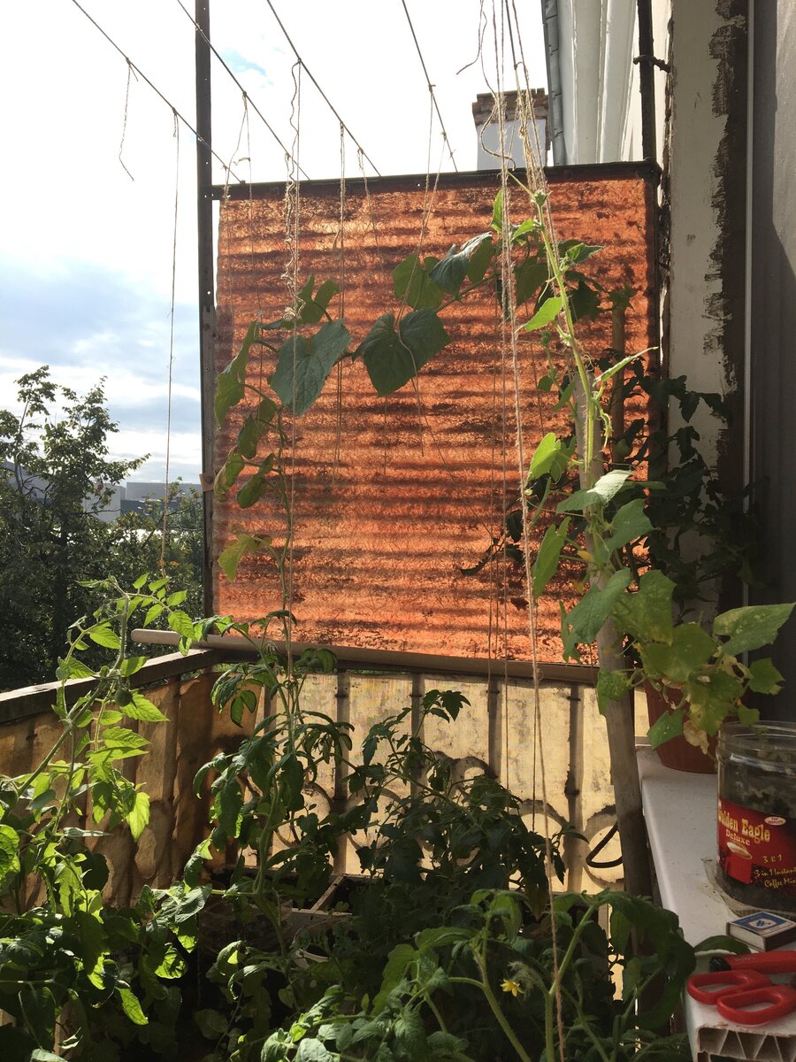 Место дислокации