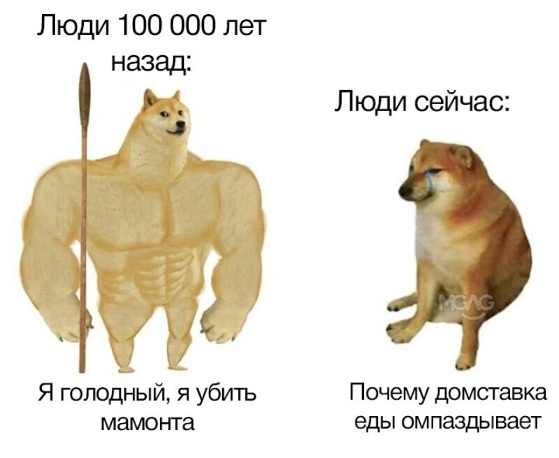 https://tjournal.ru/internet/172214-mem-nakachannyy-doge-iz-proshlogo-i-plachushchiy-chims-iz-nastoyashchego