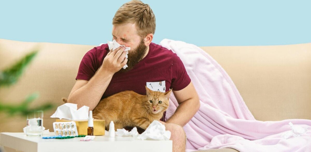 Фото из Яндекс.картинки