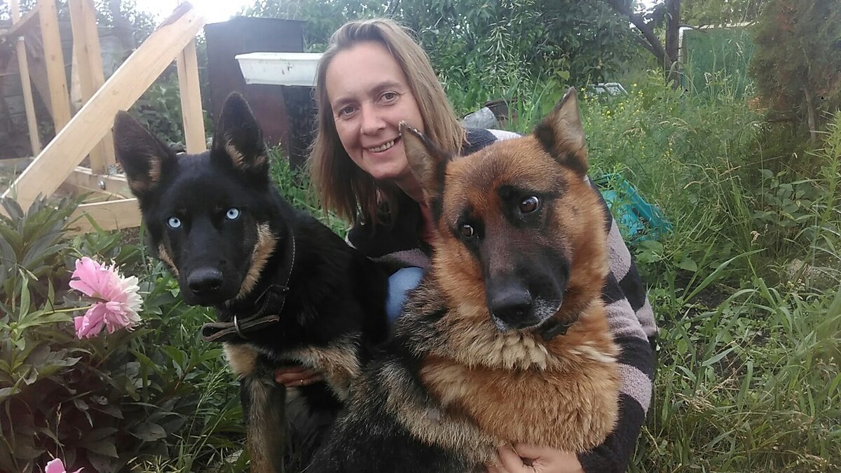 Когда собаки "ревнуют" - это очень плохо!