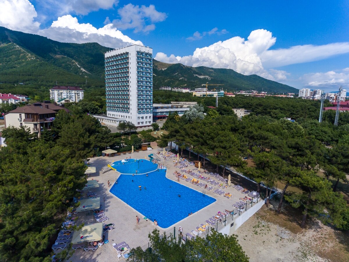 Фото панисоната (взято с открытого источника)