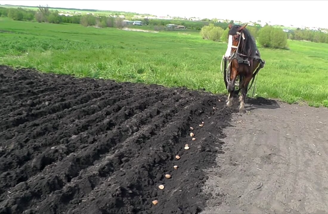Фото сделано в 2019 г