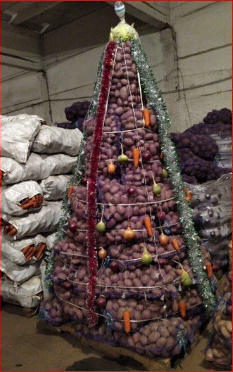 Фото из соцсетей