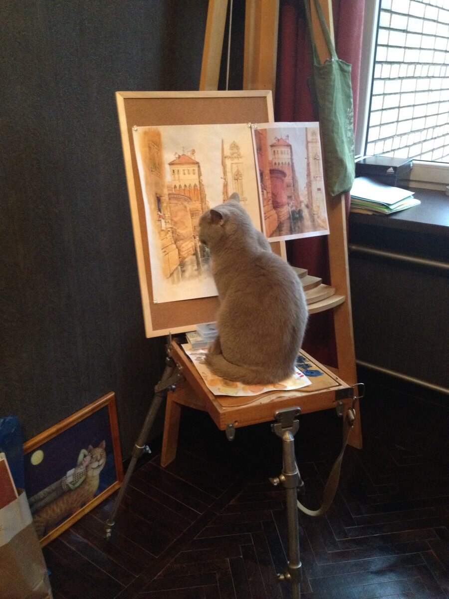 Фото автора. Киса оценивает копию акварели голландского художника Джеймса Холланда