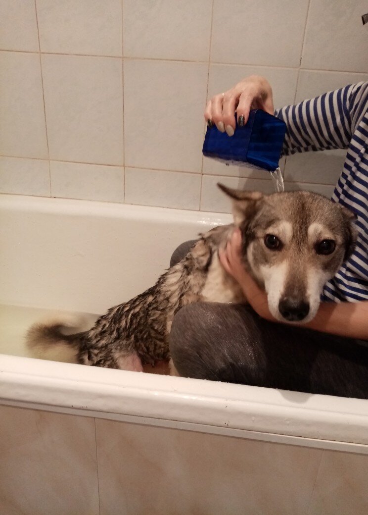 Нора привыкает к мытью в ванне