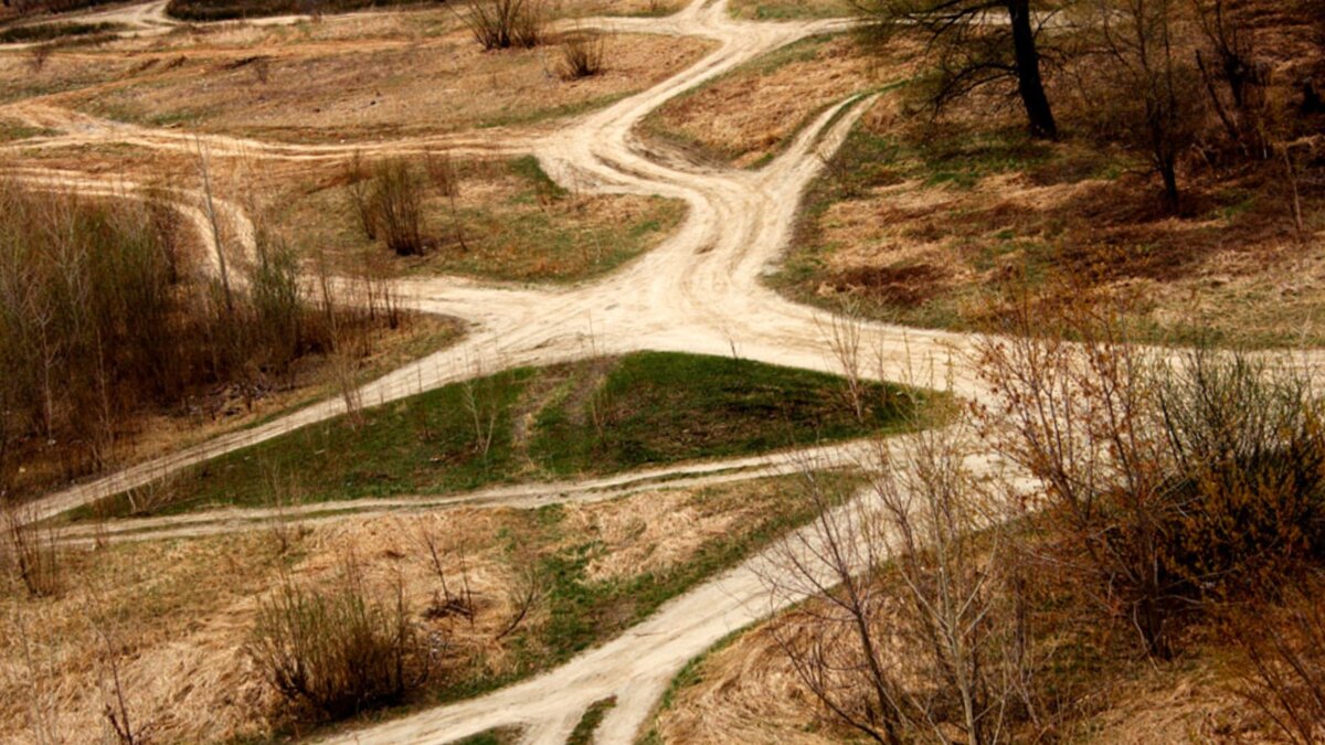 Ну и куда идти?