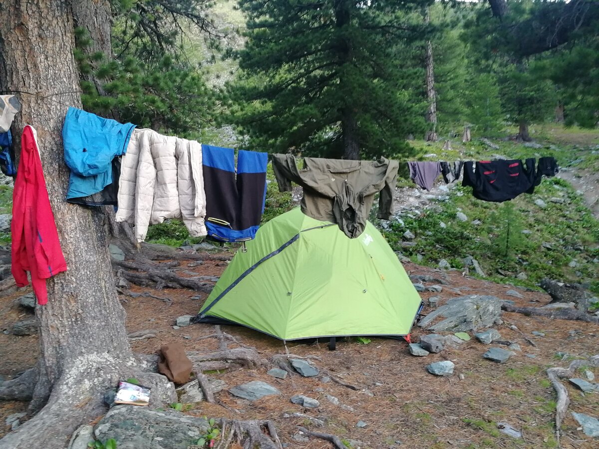 Палатка в лесу