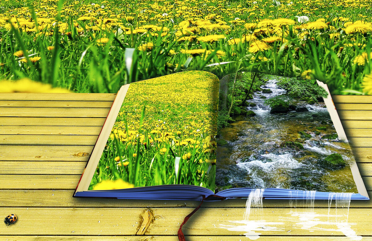 ЭРА ЧЕЛОВЕКА ТВОРЦА