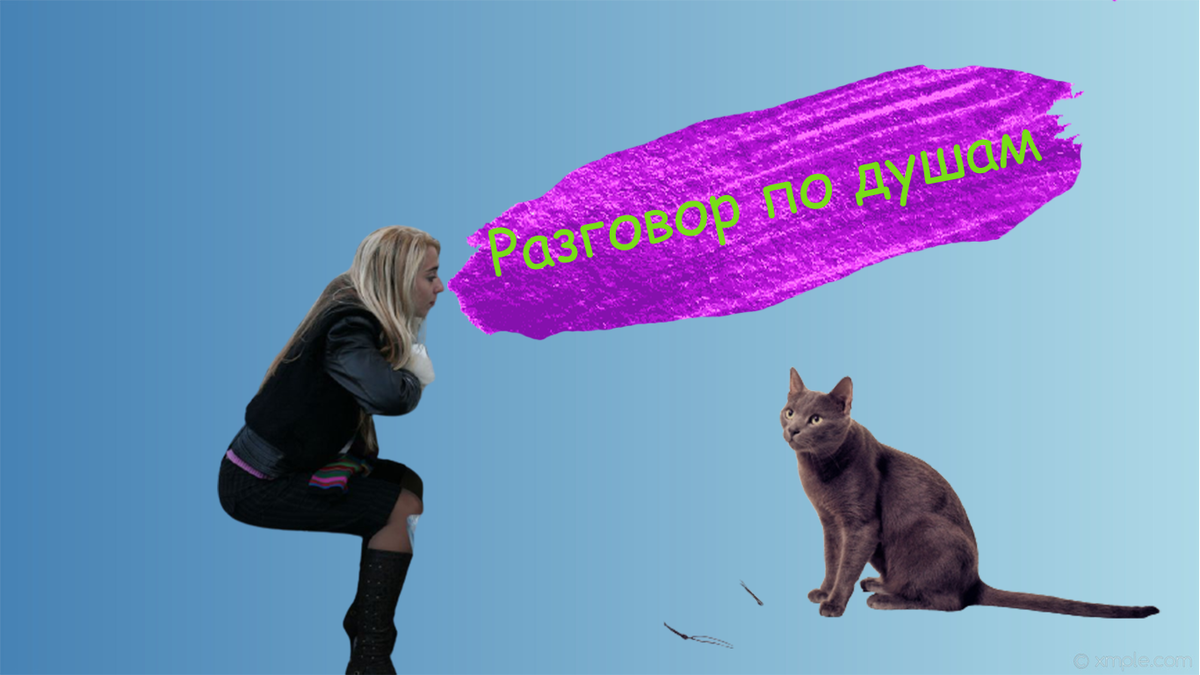 Просто немного котика, чтобы вам было нескучно