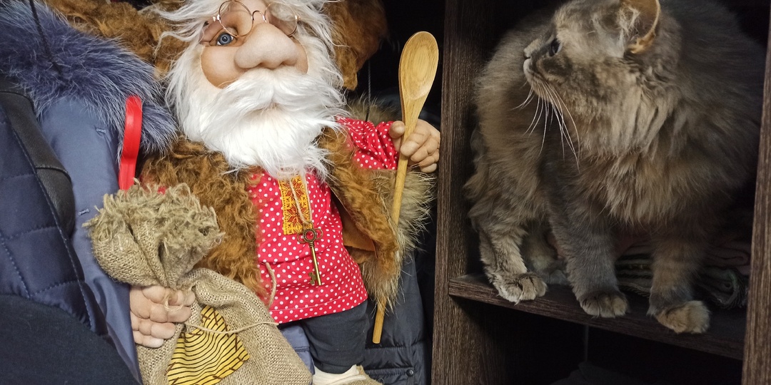 Кошка выслеживает Афанасия Демидыча и пока не решается с ним дружить