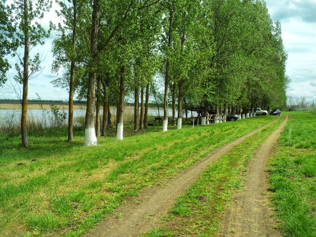 Зона отдыха возле реки с беседками на базе